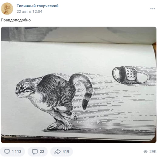 Один из постов с котиком во ВКонтакте